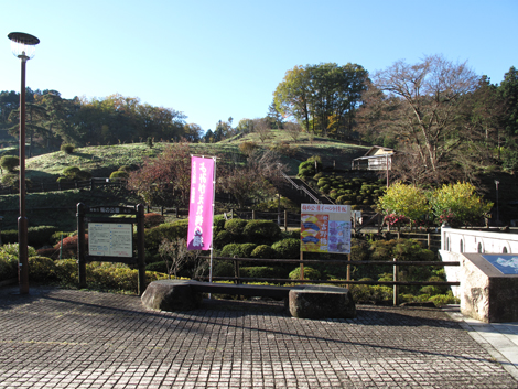 20151127hike (13)